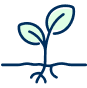 leaves icon